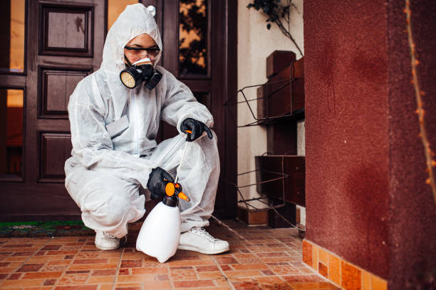 Reliable Emergency Pest Control contractor in Rancho Mission Viejo, CA by Nex Pest Control