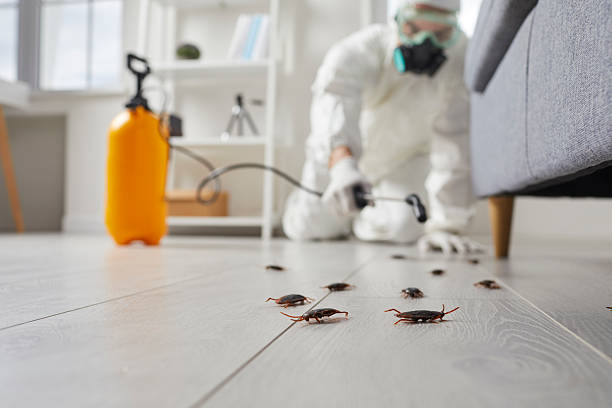Trusted Fumigation Services service in Rancho Mission Viejo, CA - Nex Pest Control