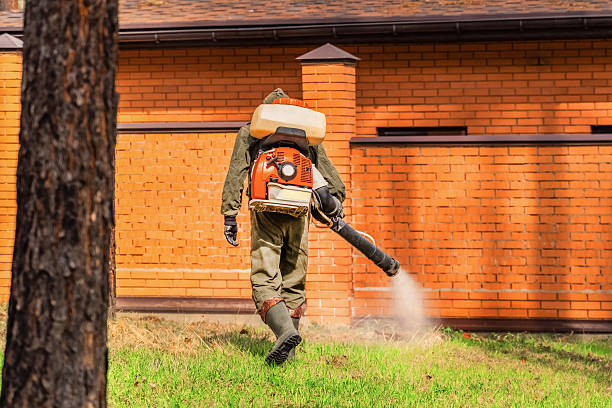 Trusted Bed Bug Control service in Rancho Mission Viejo, CA - Nex Pest Control